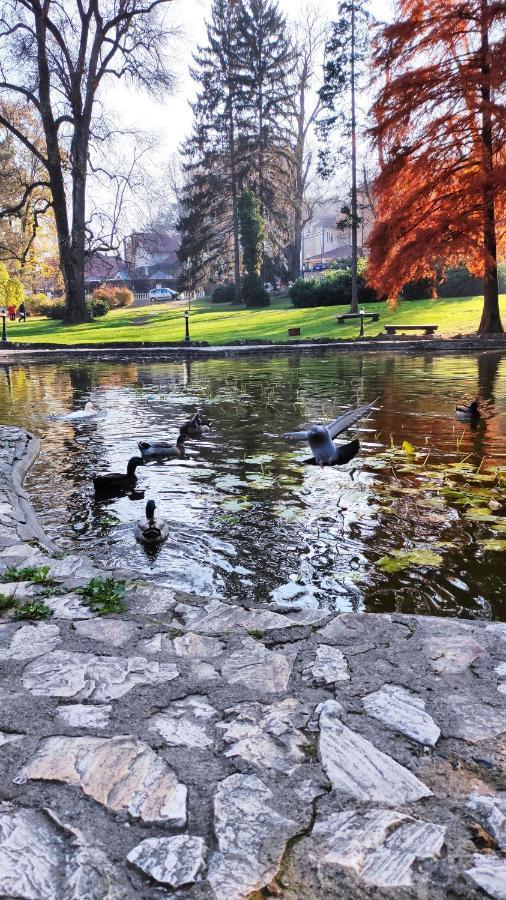 Apartman Temida Lux Vrnjacka Banja Bagian luar foto