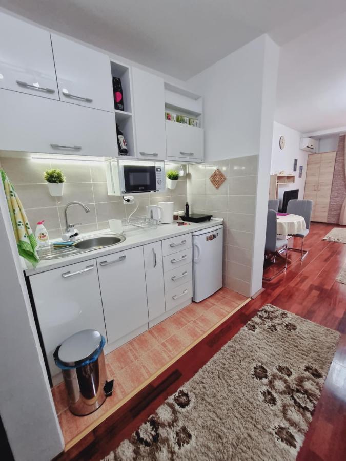 Apartman Temida Lux Vrnjacka Banja Bagian luar foto