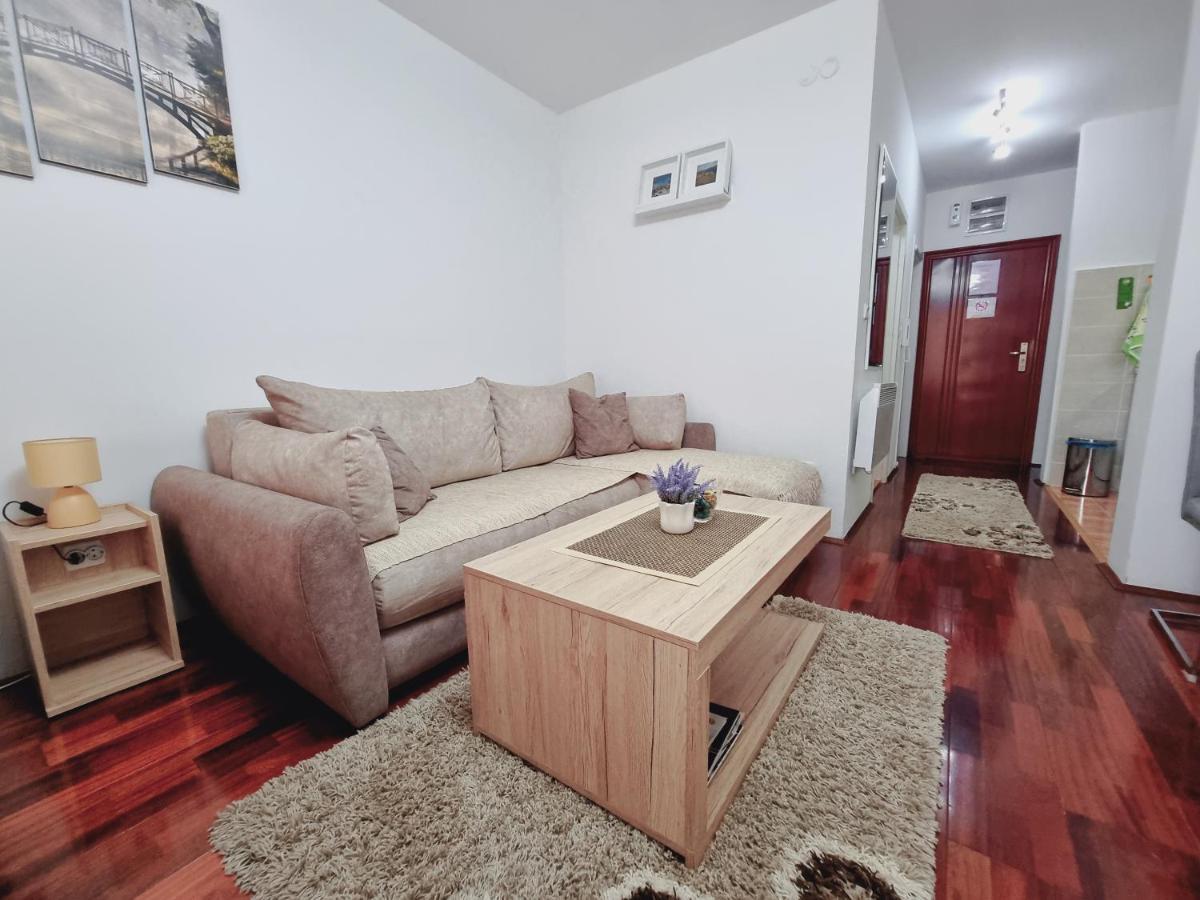 Apartman Temida Lux Vrnjacka Banja Bagian luar foto