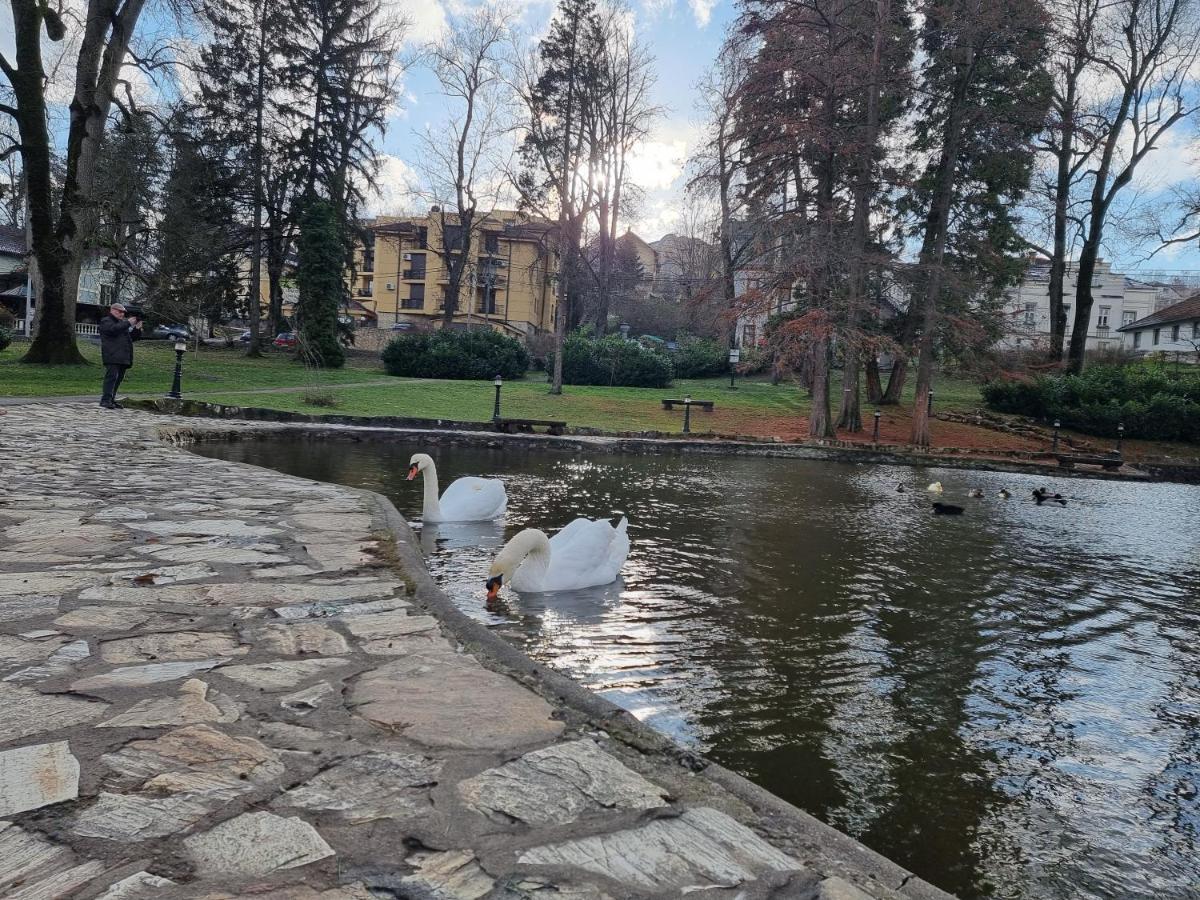 Apartman Temida Lux Vrnjacka Banja Bagian luar foto