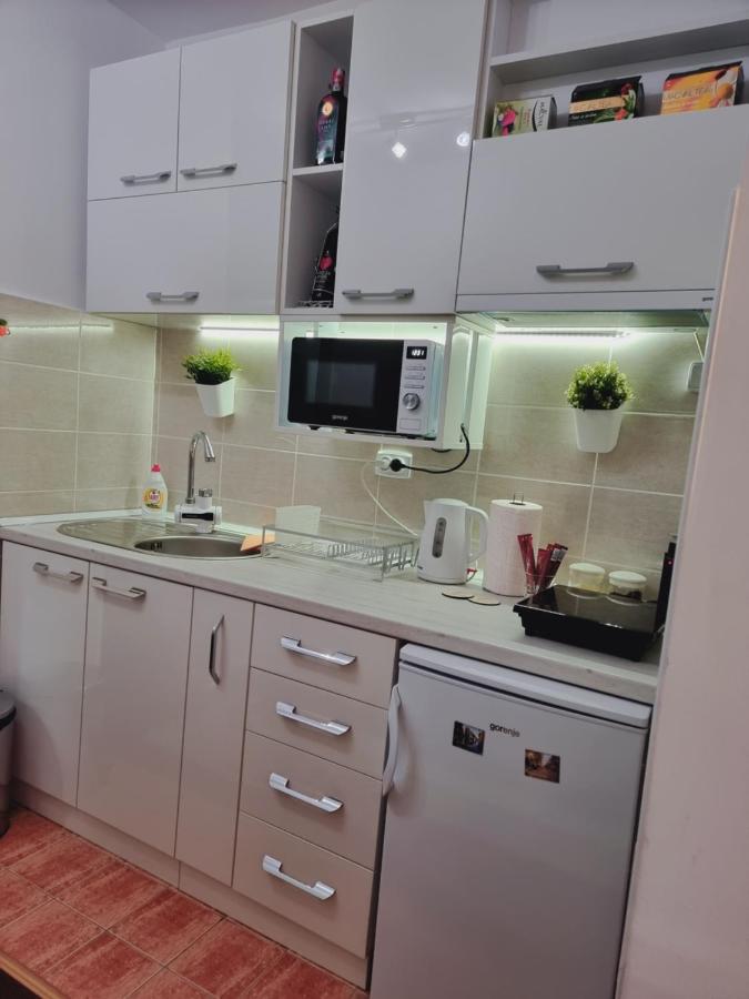 Apartman Temida Lux Vrnjacka Banja Bagian luar foto