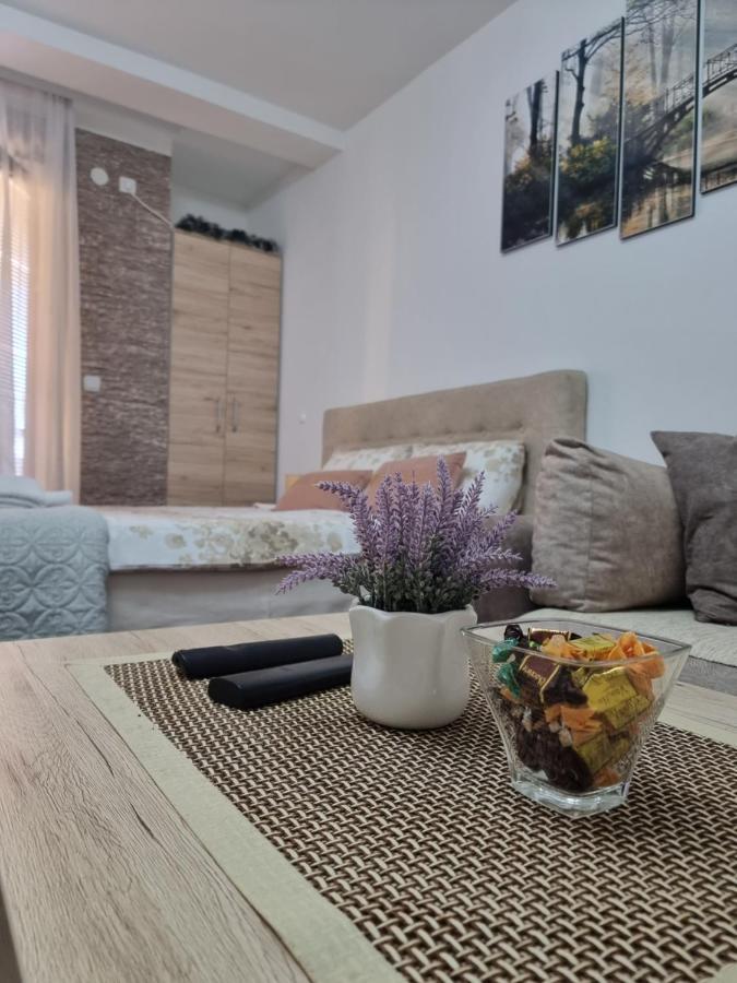 Apartman Temida Lux Vrnjacka Banja Bagian luar foto